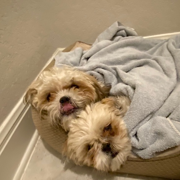 Meet your Posher, Danielle - Picture 1 of 1